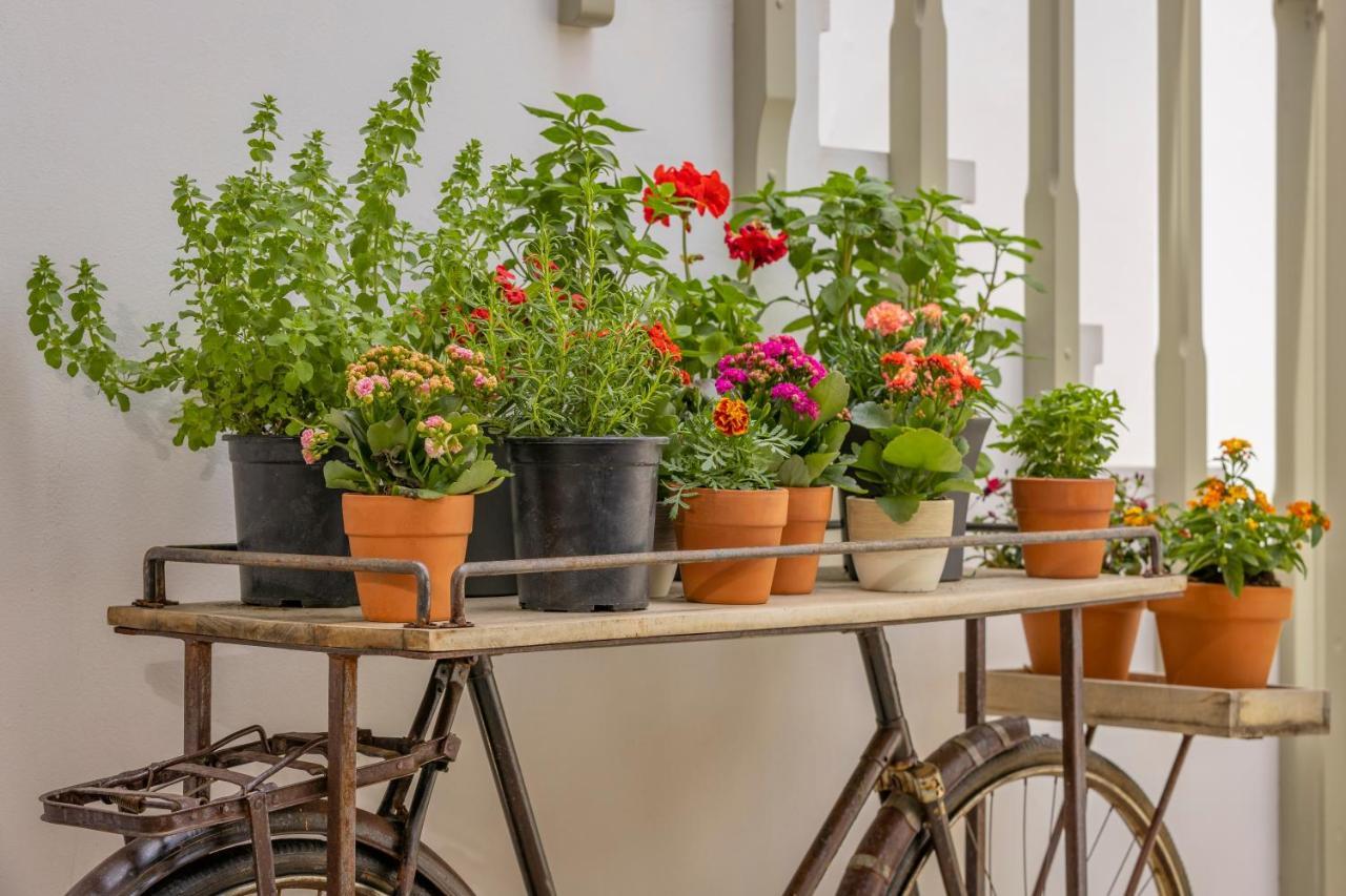 Amarada City Suites Rhodes City Zewnętrze zdjęcie